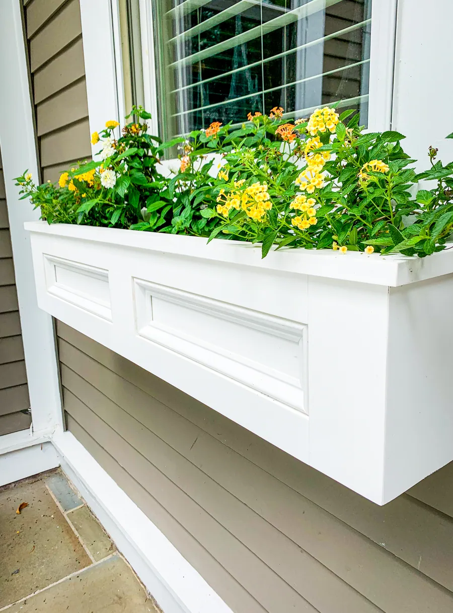 White window box planted with flowers
